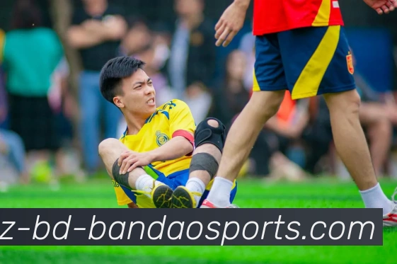 半岛体育平台生态图